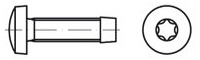 Šroub závitotvorný s válcovou hlavou na TORX DIN 7500C nerez A2 M 6 x 10 torx