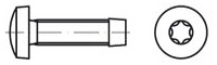 Šroub závitotvorný s válcovou hlavou na TORX DIN 7500C ocel M 8 x 60 gal. Zn torx