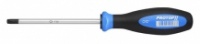 Šroubovák TORX 98900 WITTE PROTOP II ART 98900 TX 30 (T 30 115 6,0 115 x 34)