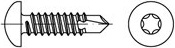 Šroub samovývrtný s půlkulatou hlavou na TORX DIN 7504N nerez A2 2.9 x 13 torx