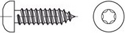 Šroub do plechu s půlkulatou hlavou na TORX a špičatým koncem ISO 14585C nerez A2 4.2 x 22 torx